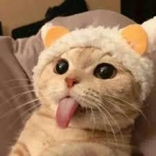 อันันต์ อัศวโภคิน avatar